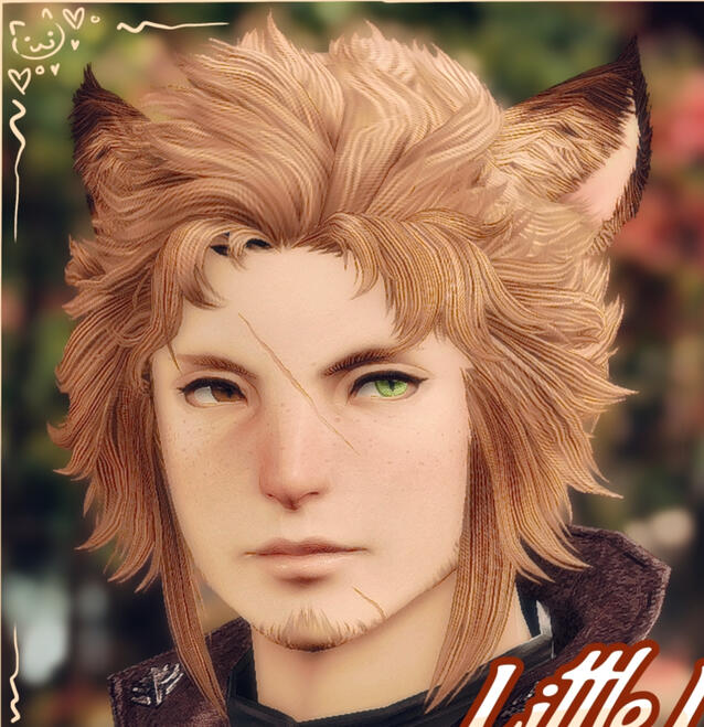 Miqo'te