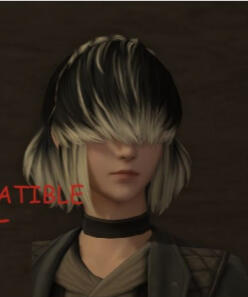 Miqo'te Miqo'te