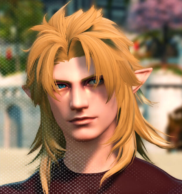 Miqo'te Miqo'te