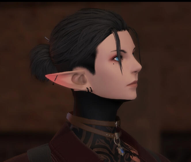 Miqo'te Miqo'te