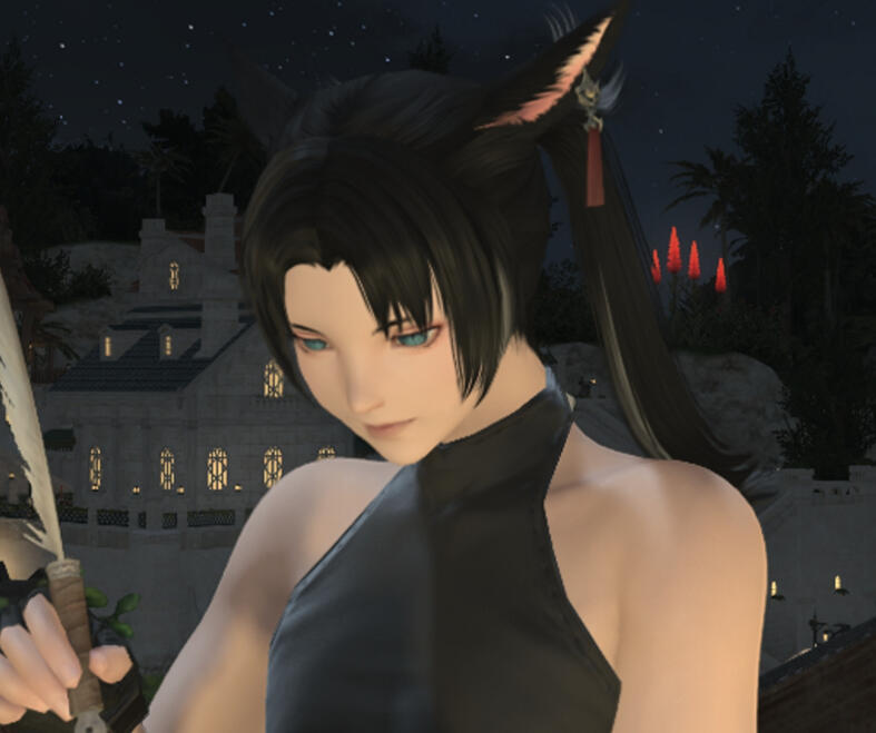 Elezen Elezen
