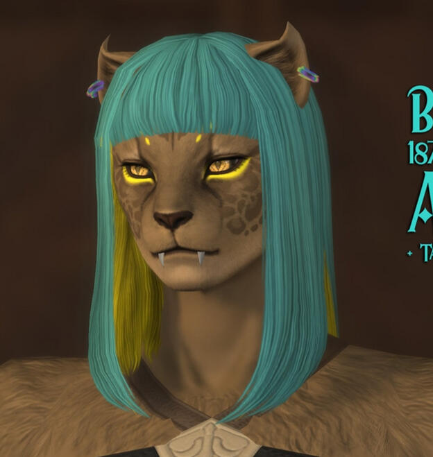 Miqo'te Miqo'te
