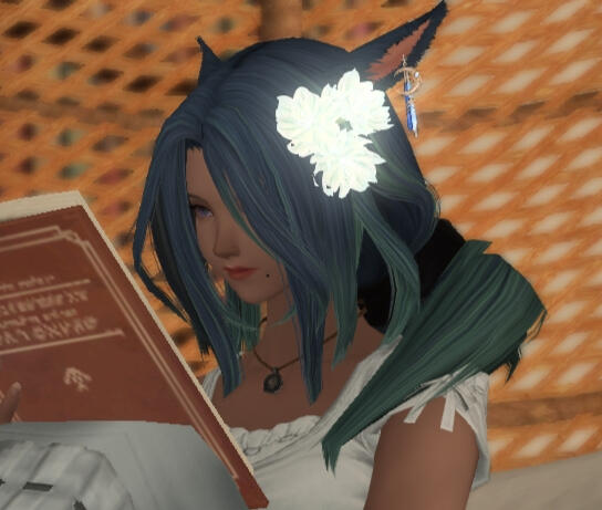 Elezen Elezen