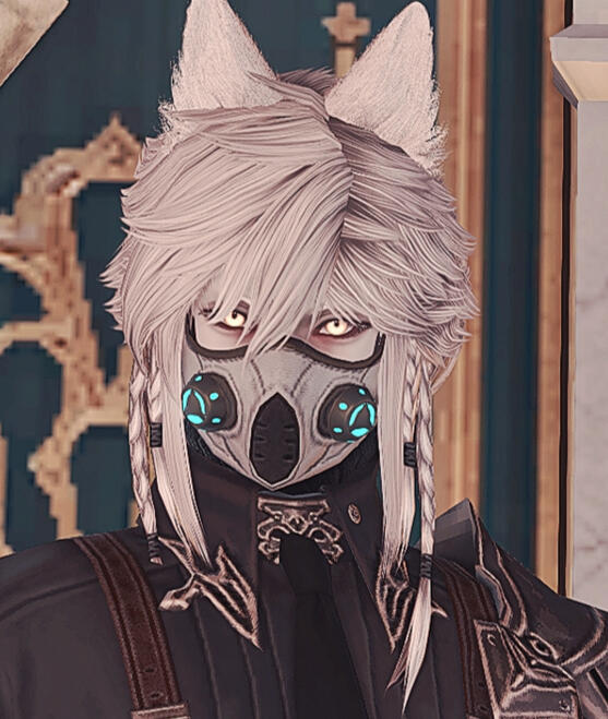 Miqo'te Miqo'te